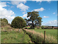 Footpath between fields west of Crook