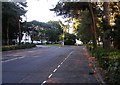 Meyrick Road looking towards the sea