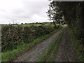 Track to Rhos-goch fawr