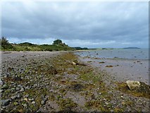 NX0463 : Shore of Loch Ryan by Andy Farrington