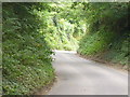 Sunken Lane, West Worldham