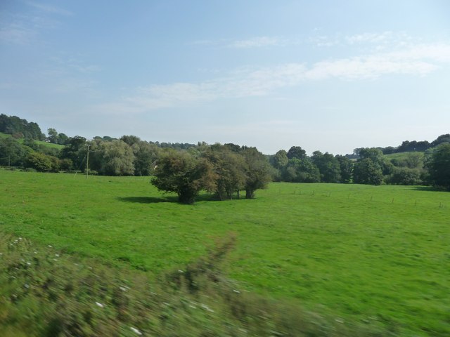 South Somerset : Grassy Field