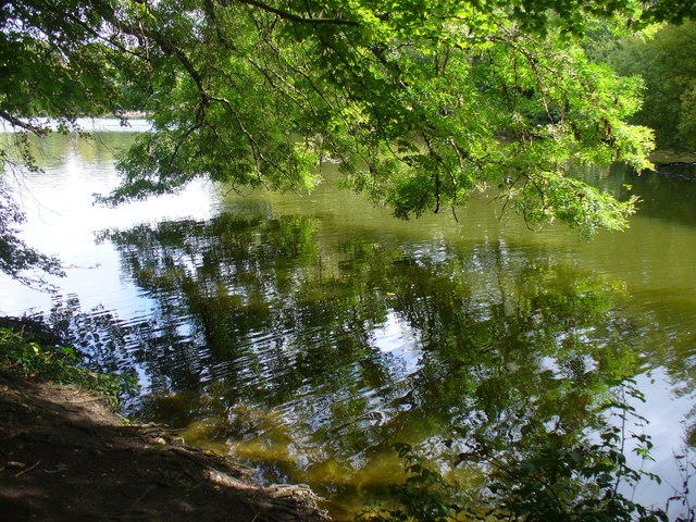 King's Pond