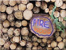 NT0933 : Log pile, Rough Side by Richard Webb