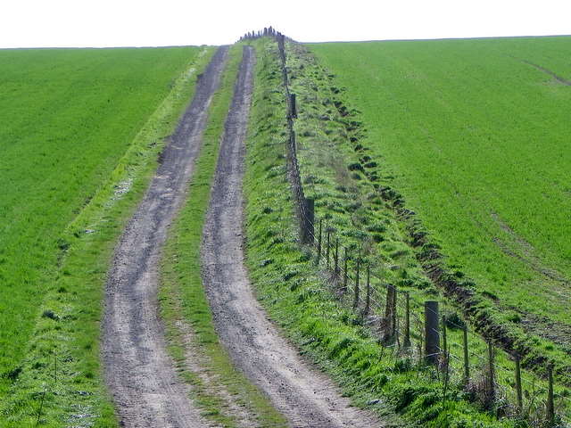 Farm track near Craster