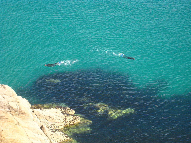 Snorkellers below the Minack