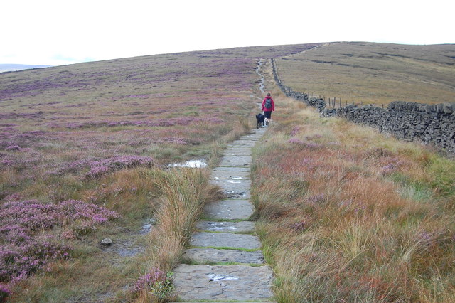 Path along The Tors