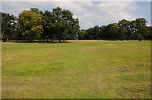 TQ1667 : Hampton Court Park by Philip Halling