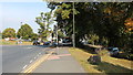 Bus lane, Link Top, Malvern