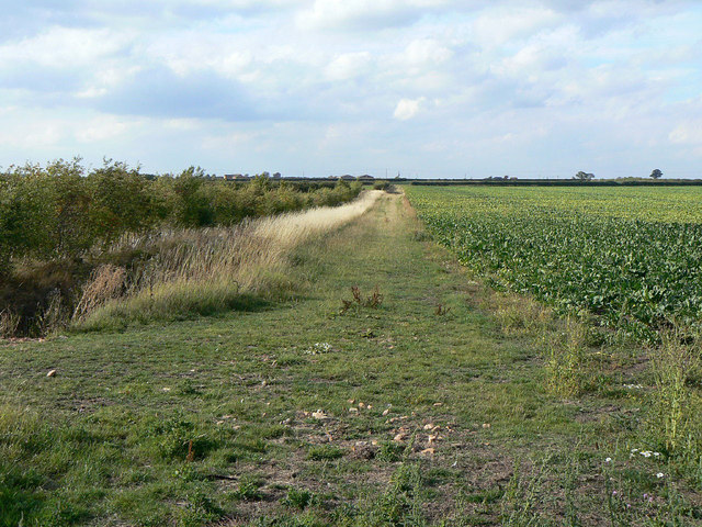 Farm track