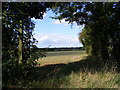 Footpath to Chapel Road