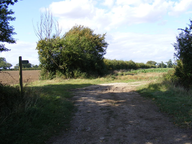 Footpath to Bird's Lane