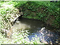 Old stone bridge and embankment on Candlestick Brook