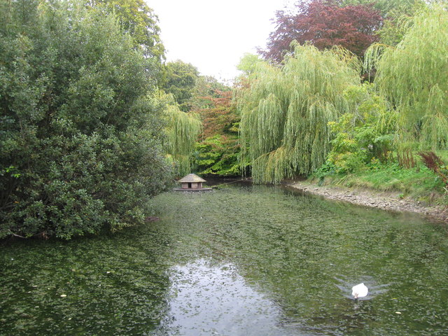 Duck pond, Cerne Abbas