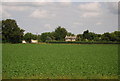 Farmland by the A11, Barton Mills