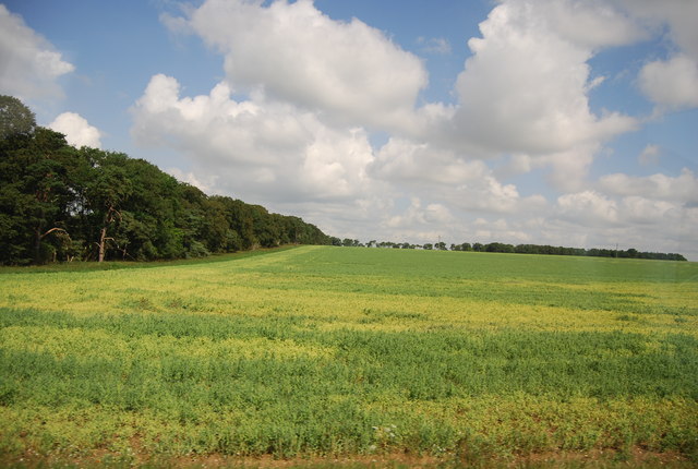Farmland by Heronfield Belt