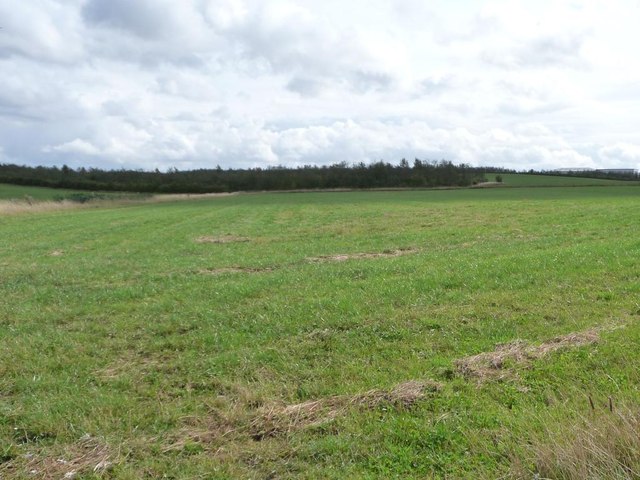 Large field with a stream running... © Christine Johnstone :: Geograph ...