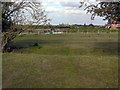 Paddocks near The Rookery