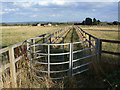 Footpath near Cropwell Butler