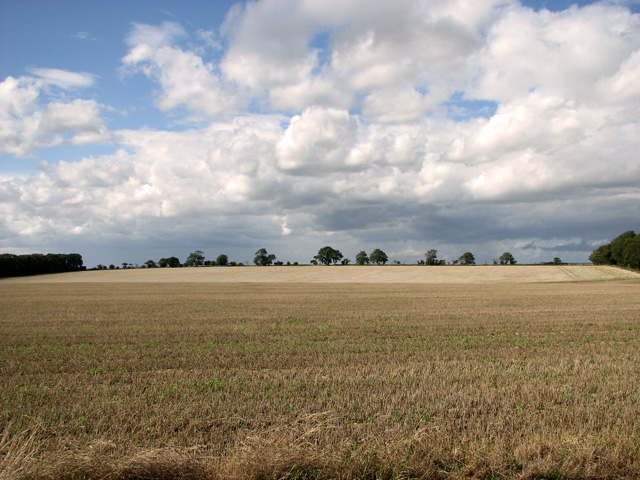 Harvested field between Green Hill and Middle Belt, Gayton