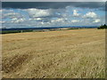 Stubble field near Clathymore