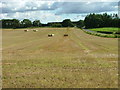 Straw bales at Findo Gask