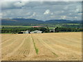 Straw awaiting the baler