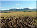 Muddy field entrance