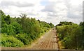 The Breckland line north of the A11