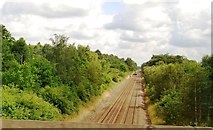 TL8885 : The Breckland line north of the A11 by N Chadwick