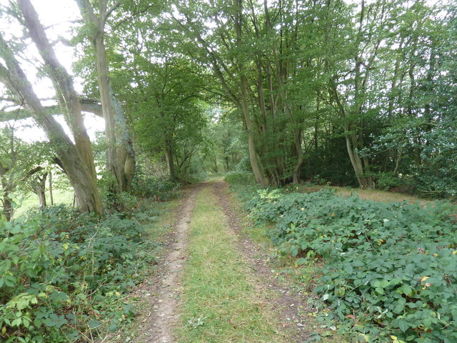 Footpath south to The Hooke