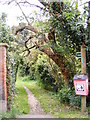 Footpath to Letheringham Mill