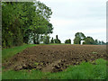 Recently ploughed field