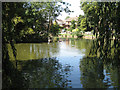 Big pond in a small park 