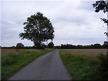 TM2259 : Lane between Bird's Lane & Chapel Road by Geographer