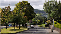 J4974 : The North Road, Newtownards by Albert Bridge