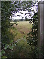 Footpath to Framsden & Otley Roads