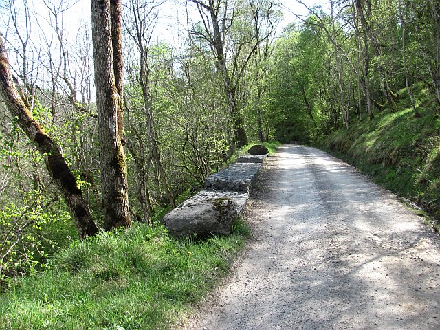Road in Glen Tilt