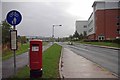 A Damp Sunday on Keele Campus