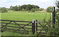 Meadow near Patney