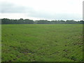 Farmland, Bentley Common