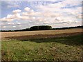 Stubble field, Holme Hale