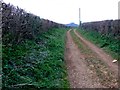 Track to Trent Path Lane