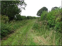 NT7437 : Ednam to Hendersyde path by Richard Webb