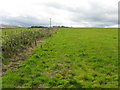 NT3656 : Fields at Whitelaw by M J Richardson