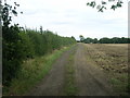 Farm track, Balne Croft