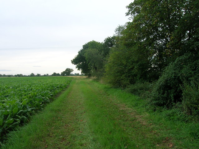 Farm track off Lowgate