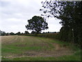 Footpath to Otley Road