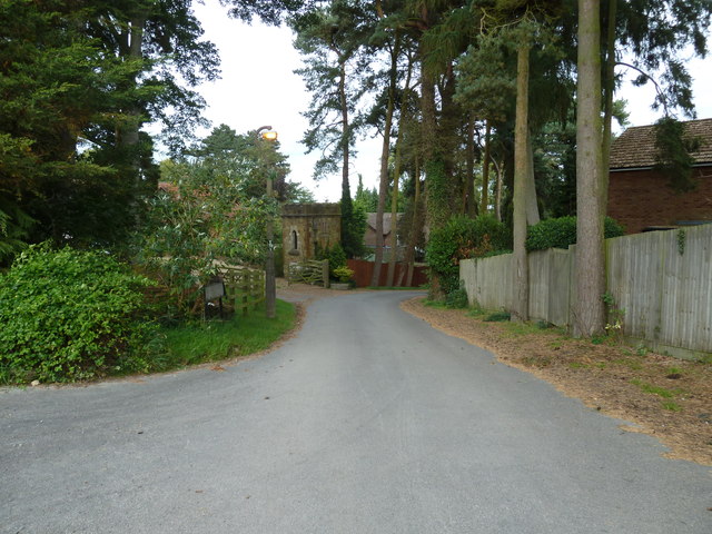Looking from Bossington Lane into The Martin's Drive