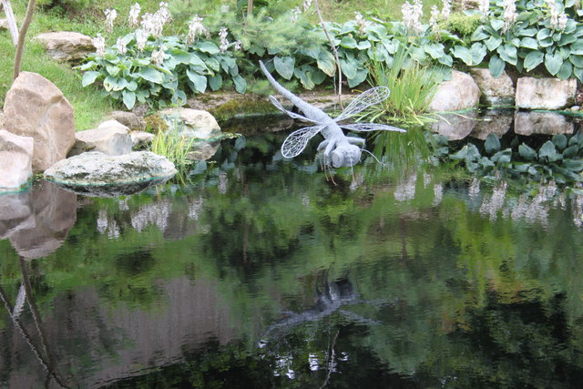 Dragonfly sculpture in the Japanese garden, Kingston Lacy